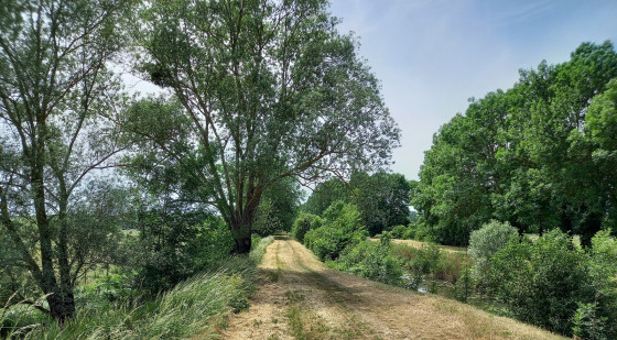 Le chemin de halage