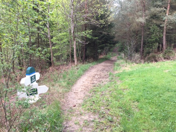 Le chemin de la Brequigny