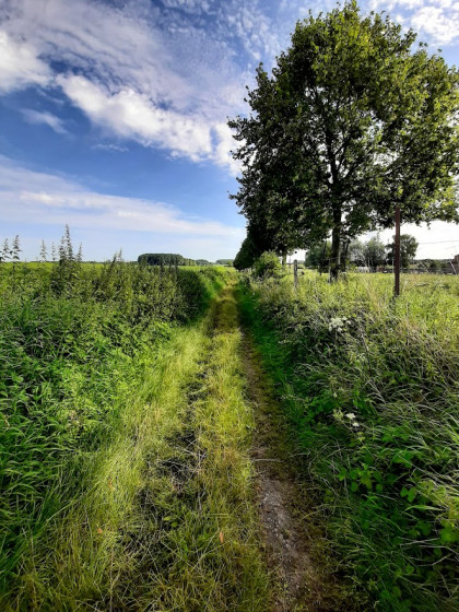 Le Chemin de la Buse