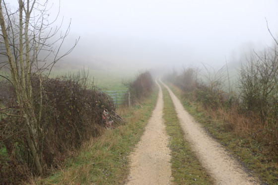 Le chemin de la Garenne de la Coudraie
