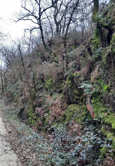 Le chemin de la Mine