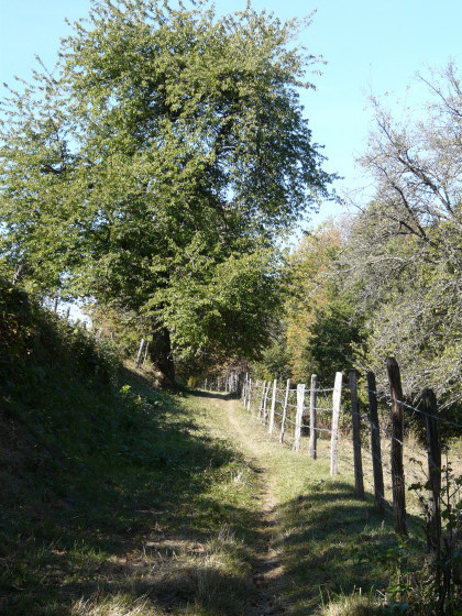 Le chemin de la Paraie
