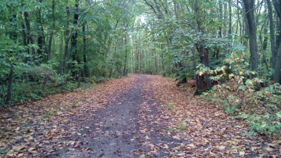 Le Chemin de la Porte Dorée
