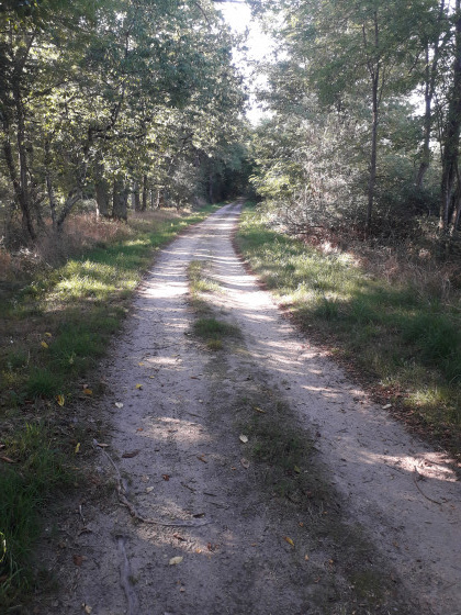 Le chemin de randonnée