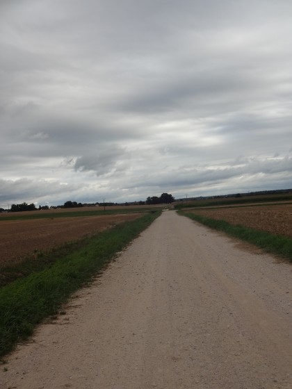 Le chemin de remembrement