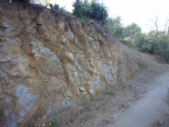 Le chemin de Terron montant à ND de Pépiole