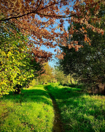 Le Chemin de Trams