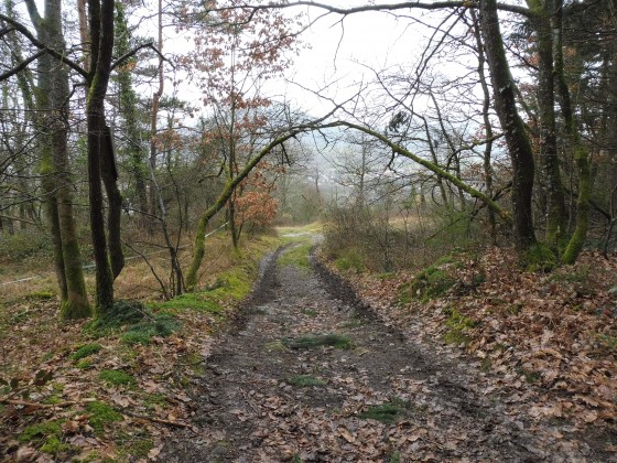 Le Chemin des &Acirc;nes