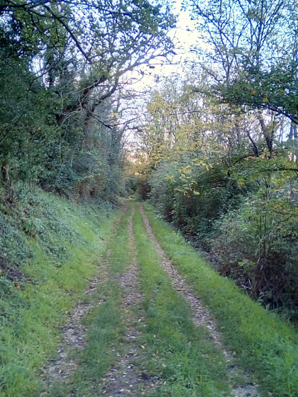 Le Chemin des Gen&ecirc;ts