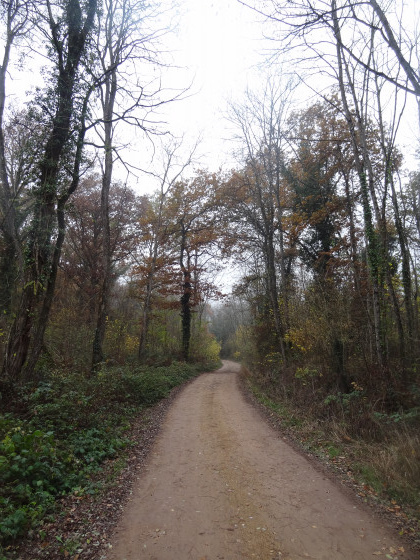 Le chemin des marnières