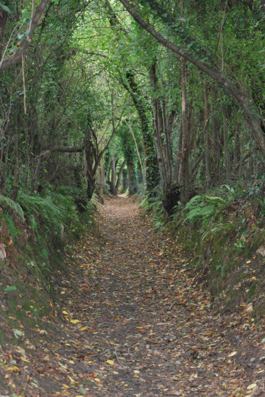 Le chemin des poissonniers