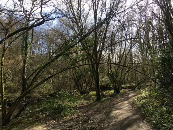 Le chemin du Cens, version sinueuse et étroite