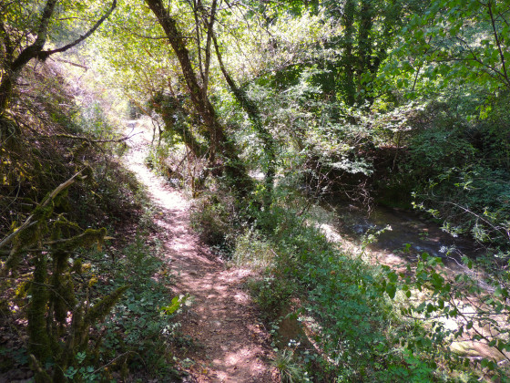le chemin du colostre