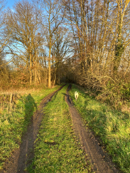 Le chemin du Moulin Neuf