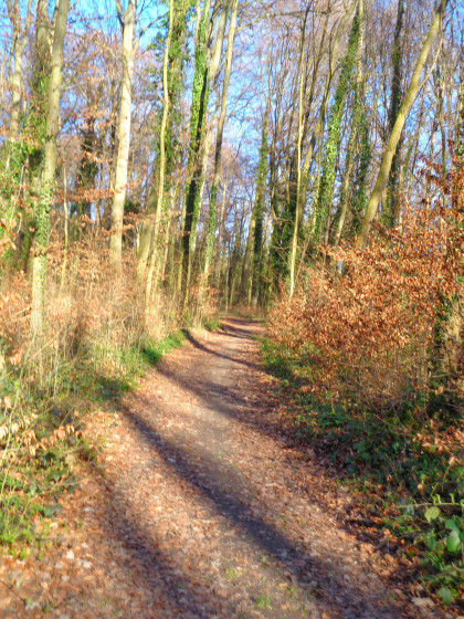 Le Chemin du Petit Schneckenberg