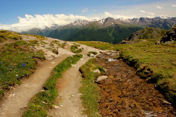 Le chemin du retour