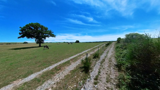 le chemin du retour
