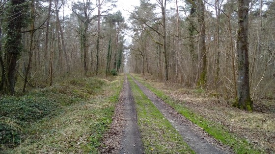 Le Chemin du Roi
