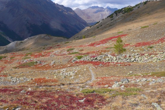 Le Chemin du Roy au pied de l'Aiguillette du Lauzet