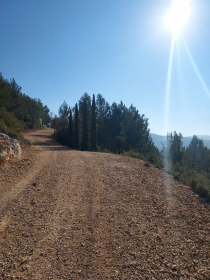 Le chemin du Vallon de la Gal&egrave;re