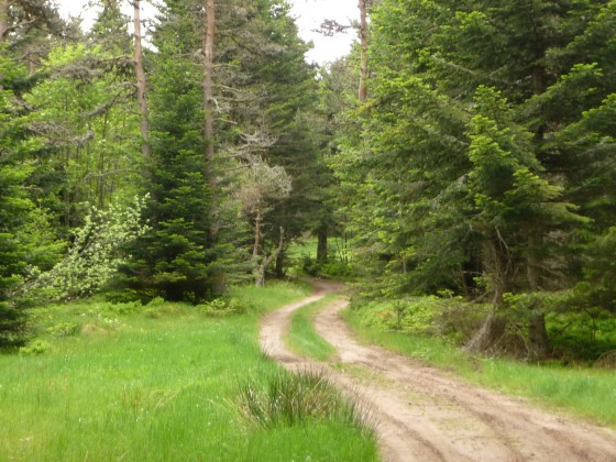 le Chemin Fantastique