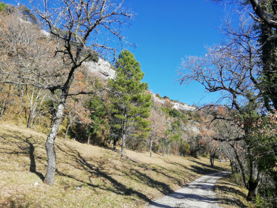 Le chemin farrat