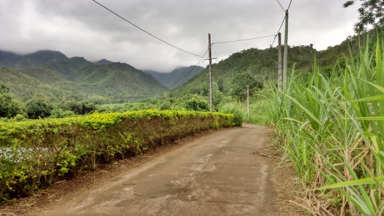 Le Chemin Grand Fond