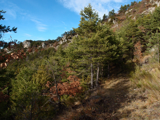 Le chemin montant à la piste de Ville Vieille
