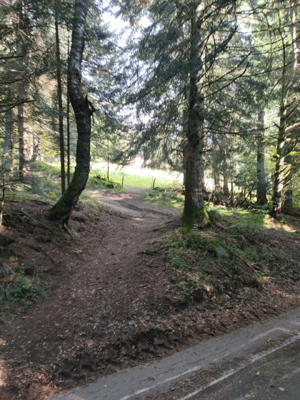 Le chemin non  balis&eacute;
