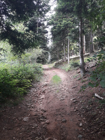 Le chemin peu après le départ