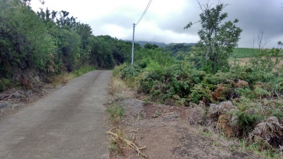 Le Chemin Pièce Louise