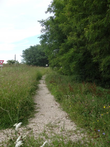 Le chemin pi&eacute;tonnier