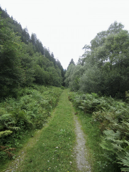 Le chemin qui borde le ruisseau est très agréable