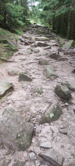 Le chemin rocheux qui m&egrave;ne au Donon