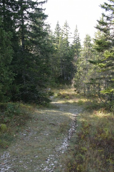 Le chemin se rétrécit pour devenir sentier