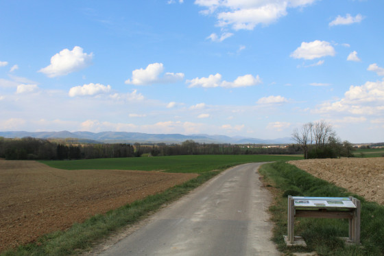 Le chemin Stratégique.