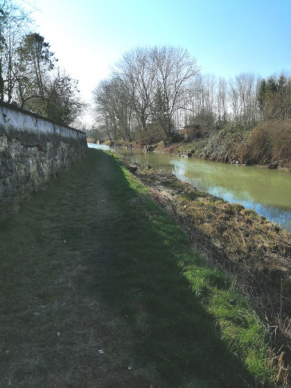 Le chemin sur la berge