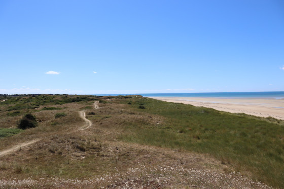 Le chemin sur les dunes