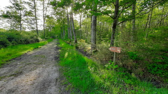 Le chemin vers le Mortier &agrave; Puits