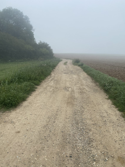 le chemin vers Lignières