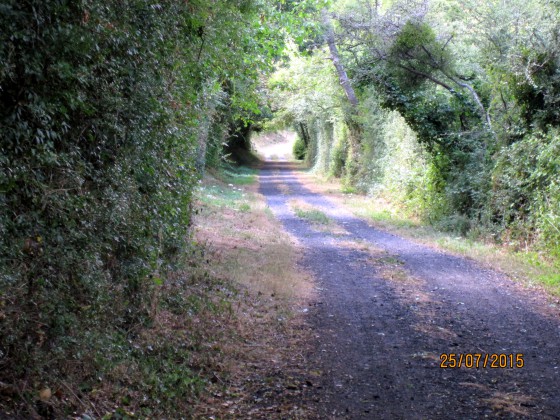 Le Chemin Vert