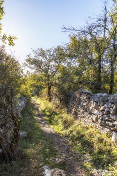 Le chemin