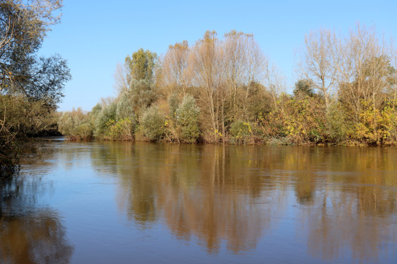 Le Cher, près de Villeret