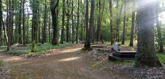 Cimetière forestier de Saint-Aubin