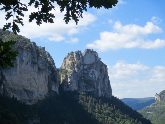 Le Cinglegros