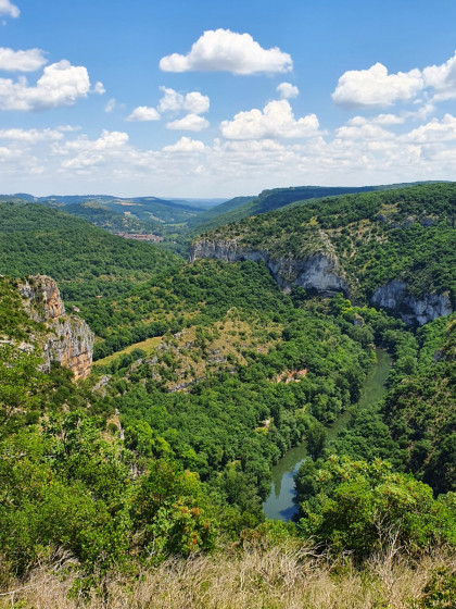 Le Cirque de Bône