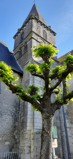 Le clocher de l'église d'Athée sur Cher