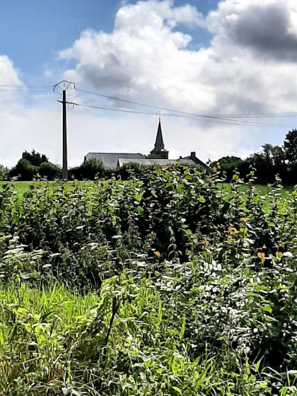 Le clocher de l'&eacute;glise de Thaisni&egrave;res -sur Hon