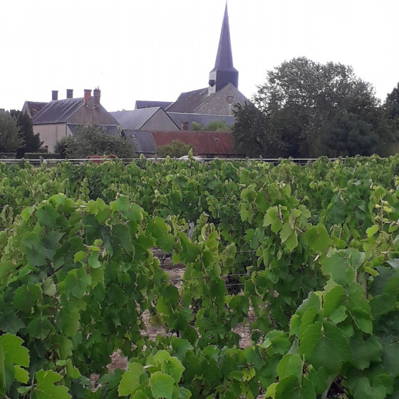 Le clocher de Saint-Claude-de-Diray
