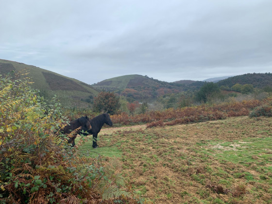 Le col des Poiriers